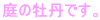 ̉OłB
